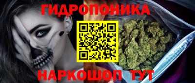 гидра Пушкино