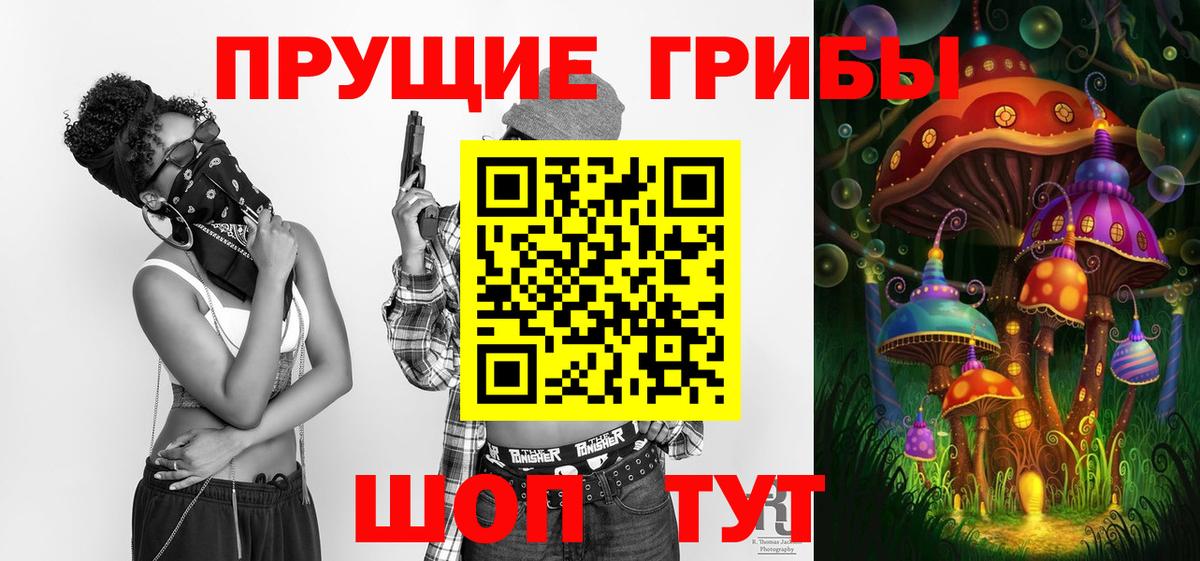 Алейск  Псилоцибиновые грибы GOLDEN TEACHER  закладки  Вход с VPN 